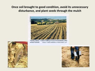Once soil brought to good condition, avoid its unnecessary
disturbance, and plant seeds through the mulch
 