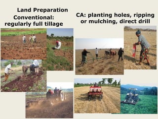 Land Preparation
Conventional:
regularly full tillage
CA: planting holes, ripping
or mulching, direct drill
 