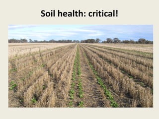 Soil health: critical!
 