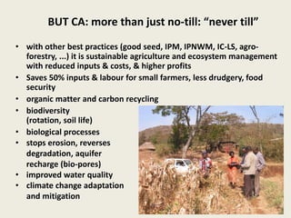 BUT CA: more than just no-till: “never till”
• with other best practices (good seed, IPM, IPNWM, IC-LS, agro-
forestry, ...) it is sustainable agriculture and ecosystem management
with reduced inputs & costs, & higher profits
• Saves 50% inputs & labour for small farmers, less drudgery, food
security
• organic matter and carbon recycling
• biodiversity
(rotation, soil life)
• biological processes
• stops erosion, reverses
degradation, aquifer
recharge (bio-pores)
• improved water quality
• climate change adaptation
and mitigation
 