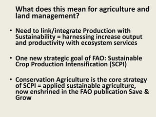What does this mean for agriculture and
land management?
• Need to link/integrate Production with
Sustainability = harnessing increase output
and productivity with ecosystem services
• One new strategic goal of FAO: Sustainable
Crop Production Intensification (SCPI)
• Conservation Agriculture is the core strategy
of SCPI = applied sustainable agriculture,
now enshrined in the FAO publication Save &
Grow
 