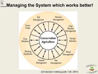 Managing the System which works better!
(CA decision making guide / UK, 2001)
 