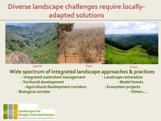Diverse landscape challenges require locally-
adapted solutions
Uganda Niger Kenya
Wide spectrum of integrated landscape approaches & practices
- Integrated watershed management - Landscape restoration
-Territorial development - Model forests
- Agricultural development corridors - Ecosystem projects
- Biological corridor - Others….
 