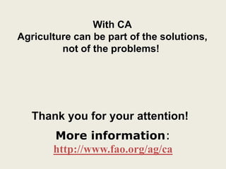 Thank you for your attention!
More information:
http://www.fao.org/ag/ca
With CA
Agriculture can be part of the solutions,
not of the problems!
 
