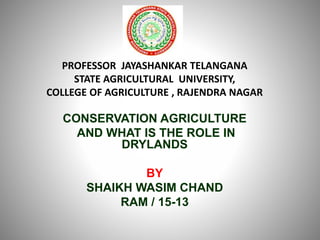 PROFESSOR JAYASHANKAR TELANGANA
STATE AGRICULTURAL UNIVERSITY,
COLLEGE OF AGRICULTURE , RAJENDRA NAGAR
CONSERVATION AGRICULTURE
AND WHAT IS THE ROLE IN
DRYLANDS
BY
SHAIKH WASIM CHAND
RAM / 15-13
 