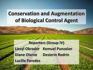 Conservation and Augmentation
of Biological Control Agent
Reporters (Group IV)
Liezyl Obrador Kemuel Punzalan
Diane Olarve Desierin Rodrin
Lucille Paredes
 