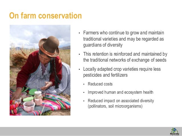 conservation of biological diversity essay Free essay: biological diversity chapter 15 in agenda 21 discusses the conservation of biological diversity more about essay on protecting biological diversity. conservation of biological diversity essay Free essay: biological diversity chapter 15 in agenda 21 discusses the conservation of biological diversity more about essay on protecting biological diversity.