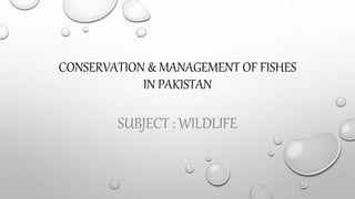 CONSERVATION & MANAGEMENT OF FISHES
IN PAKISTAN
SUBJECT : WILDLIFE
 