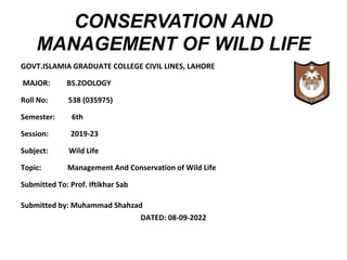 CONSERVATION AND
MANAGEMENT OF WILD LIFE
GOVT.ISLAMIA GRADUATE COLLEGE CIVIL LINES, LAHORE
MAJOR: BS.ZOOLOGY
Roll No: 538 (035975)
Semester: 6th
Session: 2019-23
Subject: Wild Life
Topic: Management And Conservation of Wild Life
Submitted To: Prof. Iftikhar Sab
Submitted by: Muhammad Shahzad
DATED: 08-09-2022
 