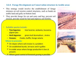 Conservation Based Forage Development.pptx