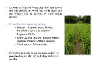 Conservation Based Forage Development.pptx