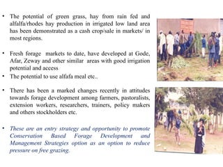 Forage Development Conservation Based Forage Development.pptx