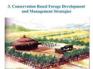 Conservation Based Forage Development.pptx