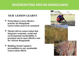 Conservation beef enterpirse %28ppt%29 | PPT