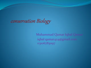 Muhammad Qamar Iqbal Qamar
iqbal qamar424@gmail.com
03106783097
 