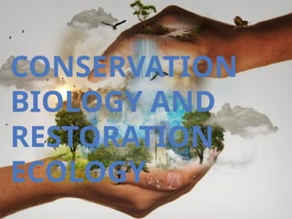 Conservation Biology and Restoration Ecology: Protecting Biodiversity ...