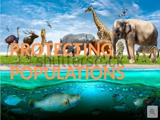 Conservation Biology and Restoration Ecology: Protecting Biodiversity ...