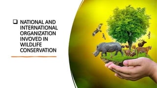  NATIONAL AND
INTERNATIONAL
ORGANIZATION
INVOVED IN
WILDLIFE
CONSERVATION
 