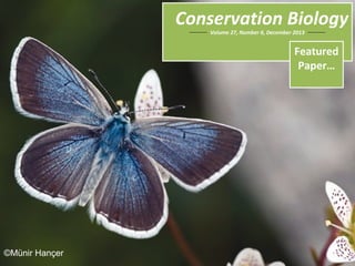 ©Münir Hançer

Conservation Biology
Volume 27, Number 6, December 2013

Featured
Paper…

 