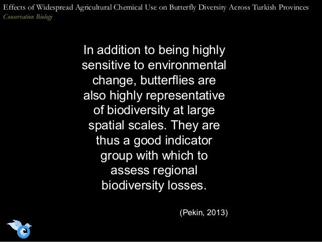 Cause And Effect Essay Papers A Photo Essay Effect Of Widespread Agricultural Chemical Use On Butterfly Diversity Across Turkish Provinces Example Essay Thesis also High School Admission Essay Samples A Photo Essay Effect Of Widespread Agricultural Chemical Use On Butt English Essay Friendship