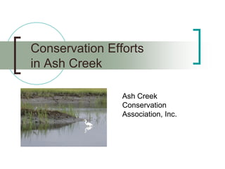 Conservation Efforts
in Ash Creek
Ash Creek
Conservation
Association, Inc.
 