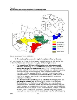 Conservation farming in zambia draft paper | PDF