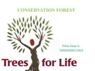 CONSERVATION FOREST
Fitria Intan A.
105030200121014
 