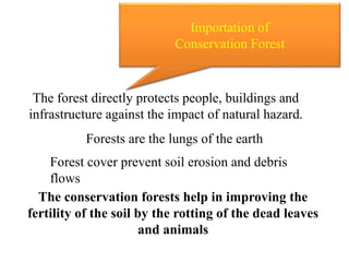Importation of
Conservation Forest
The forest directly protects people, buildings and
infrastructure against the impact of natural hazard.
Forests are the lungs of the earth
Forest cover prevent soil erosion and debris
flows
The conservation forests help in improving the
fertility of the soil by the rotting of the dead leaves
and animals
 