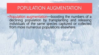 POPULATION AUGMENTATION
• Population augmentation—boosting the numbers of a
declining population by transplanting and releasing
individuals of the same species captured or collected
from more numerous populations elsewhere.
 