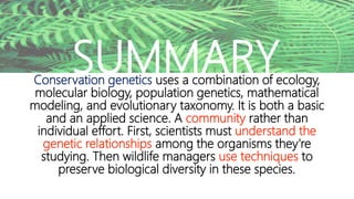 Conservation genetics uses a combination of ecology,
molecular biology, population genetics, mathematical
modeling, and evolutionary taxonomy. It is both a basic
and an applied science. A community rather than
individual effort. First, scientists must understand the
genetic relationships among the organisms they're
studying. Then wildlife managers use techniques to
preserve biological diversity in these species.
SUMMARY
 