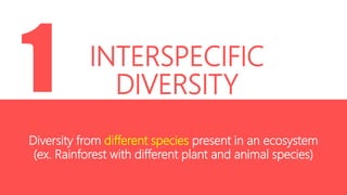 INTERSPECIFIC
DIVERSITY
INTRASPECIFIC
DIVERSITYDiversity from different species present in an ecosystem
(ex. Rainforest with different plant and animal species)
 