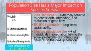 Population Size Has a Major Impact on
Species Survival
• < 100 individuals – extremely sensitive
to genetic drift, inbreeding, and
reduction of gene flow.
• 100,000 individuals – long-term
sustainability.
• Effective population size – # of
individuals in population having the
equal probability of contributing
gametes to the next generation
Also influenced by
FLUCTUATION
 