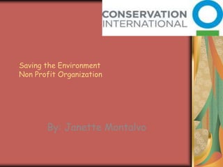 Saving the Environment Non Profit Organization By: Janette Montalvo 