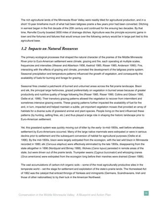 The rich agricultural lands of the Minnesota River Valley were readily tilled for agricultural production, and in a
 short 10-year timeframe much of what had been tallgrass prairie a few years prior had been converted. Ditching
 in earnest began in the ﬁrst decade of the 20th century and continued for the ensuing two decades. By that
 time, Renville County boasted 3000 miles of drainage ditches. Agriculture was the principle economic game in
 town and the fortunes and failures that would ensue over the following century would be in large part tied to this
 agricultural base.


 1.2 Impacts on Natural Resources
 The primary ecological processes that shaped the natural character of the prairies of the Middle Minnesota
 River prior to Euro-American settlement were climate, grazing and ﬁre, each operating at multiple scales,
 frequencies and intensities (Weaver and Albertson 1956, Axelrod 1985, Risser 1985, Anderson 1990). Fire,
 interacting with the effects of grazing and climate, promoted the development of the tallgrass prairie system.
 Seasonal precipitation and temperature patterns inﬂuenced the growth of vegetation, and consequently the
 availability of fuels for burning and forage for grazing.


 Seasonal ﬁres created a patchwork of burned and unburned areas across the ﬂat prairie landscape. Bison
 and elk, the principal large herbivores, grazed preferentially on vegetation in burned areas because of greater
 productivity and nutritive quality of forage following ﬁre (Risser 1985, Risser 1990, Collins and Gibson 1990,
 Ostlie et al. 1996). Their transitory grazing patterns allowed the vegetation to recover from intermittent and
 sometimes intensive grazing events. These grazing patterns further impacted the availability of fuel for ﬁre
 and, in turn, impacted and helped maintain a subtle, yet important vegetation mosaic that provided an array of
 habitats for a diverse suite of grassland animal and plant species. People living on the land inﬂuenced these
 patterns (by hunting, setting ﬁres, etc.) and thus played a large role in shaping the historic landscape prior to
 Euro-American settlement.


 Yet, this grassland system was quickly moving out of kilter by the early- to-mid-1800s, well before wholesale
 settlement by Euro-Americans occurred. Many of the large native mammals were extirpated or were in serious
 decline prior to settlement and the subsequent conversion of habitat for agricultural purposes (Ostlie et al.
 1996). By the mid-1800s, bison were largely extirpated from the ecoregion, with the last wild bison in Minnesota
 recorded in 1880; elk (Cervuus elaphus) were effectively eliminated by the late 1800s, disappearing from the
 state altogether in 1896 (Nordquist and Birney 1988). Wolves (Canis lupus) persisted in remote areas of the
 state, but were driven out of the prairie lands. Trumpeter swans (Cygnus buccinator) and whooping cranes
 (Grus americana) were extirpated from the ecoregion long before their marshes were drained (Green 1988).


 The vast accumulations of carbon-rich organic soils – some of the most agriculturally productive sites in the
 temperate world – set the stage for settlement and exploitation of the state’s prairie lands. The Homestead Act
 of 1862 was the catalyst that enticed throngs of Yankees and immigrants (Germans, Scandinavians, Irish and
 those of other nationalities) to try their luck in the American Northwest.




                                                                                                                     15
Conservation in the Middle Minnesota Valley: A Blueprint and Action Plan
 