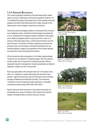 1.3.1 Natural Resources
 The current ecological framework of the Minnesota River Valley
 today is at best, a patchwork of remnant ecosystems (Figures 1.6-
 1.9) scattered throughout the project area, but principally occurring
 between the bluffs of the Minnesota River Valley. Outside of the
 Valley proper, land is largely in agriculture production.


 Remaining natural ecological systems in the project area include a
                                                                         Figure 1.6: Rock Outcropping
 mix of tallgrass prairie, woodland and forest types (see Appendix       © Ron Bouldan
 C for a complete list of ecological systems identiﬁed in the project
 area). Native ecological systems now account for a mere 2.15
 percent of the total project area, a 97.85 percent decline over the
 past 150 years. Conversion of lands to agriculture has been the
 principle reason for this decline, although associated land use
 activities (grazing, logging, ﬁre suppression and invasive species
 encroachment) have accentuated this decline.


 Of the remaining native ecosystems in the Valley, approximately
 75 percent are considered of moderate quality, with 20.5 percent        Figure 1.7: Floodplain Forest
 of high quality, and 4.5 percent of outstanding quality. Without        ©Great River Greening
 adequate long-term management, remaining examples are likely to
 degrade in quality over the coming years.


 Row-crop agriculture is the principle land use in the project area,
 with corn, soybeans or sugar beats being the dominant crops
 planted. Agriculture land amounts to 87 percent of the combined
 acreage of Redwood and Renville Counties. The remaining
 13 percent of land is divided amongst residential, municipality,
 industrial and public lands (SRF 2002; Biko 2007).
                                                                         Figure 1.8: Oak Savanna
                                                                         ©Great River Greening
 Natural resources that are extant in the project area today are
 bombarded by an array of threats to their quality and long-term
 viability. Principal threats to natural resources include:




                                                                         Figure 1.9: Prairie
                                                                         ©Great River Greening



18
                                  Conservation in the Middle Minnesota Valley: A Blueprint and Action Plan
 