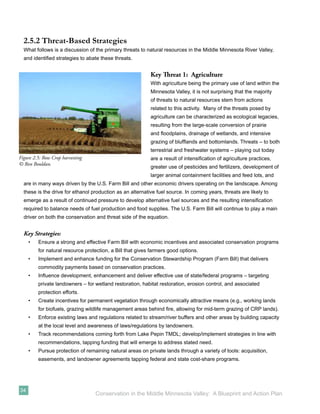 2.5.2 Threat-Based Strategies
  What follows is a discussion of the primary threats to natural resources in the Middle Minnesota River Valley,
  and identiﬁed strategies to abate these threats.


                                                           Key Threat 1: Agriculture
                                                           With agriculture being the primary use of land within the
                                                           Minnesota Valley, it is not surprising that the majority
                                                           of threats to natural resources stem from actions
                                                           related to this activity. Many of the threats posed by
                                                           agriculture can be characterized as ecological legacies,
                                                           resulting from the large-scale conversion of prairie
                                                           and ﬂoodplains, drainage of wetlands, and intensive
                                                           grazing of blufﬂands and bottomlands. Threats – to both
                                                           terrestrial and freshwater systems – playing out today
Figure 2.5: Row Crop harvesting                            are a result of intensiﬁcation of agriculture practices,
© Ron Bouldan.
                                                           greater use of pesticides and fertilizers, development of
                                                           larger animal containment facilities and feed lots, and
  are in many ways driven by the U.S. Farm Bill and other economic drivers operating on the landscape. Among
  these is the drive for ethanol production as an alternative fuel source. In coming years, threats are likely to
  emerge as a result of continued pressure to develop alternative fuel sources and the resulting intensiﬁcation
  required to balance needs of fuel production and food supplies. The U.S. Farm Bill will continue to play a main
  driver on both the conservation and threat side of the equation.


  Key Strategies:
     •   Ensure a strong and effective Farm Bill with economic incentives and associated conservation programs
         for natural resource protection, a Bill that gives farmers good options.
     •   Implement and enhance funding for the Conservation Stewardship Program (Farm Bill) that delivers
         commodity payments based on conservation practices.
     •   Inﬂuence development, enhancement and deliver effective use of state/federal programs – targeting
         private landowners – for wetland restoration, habitat restoration, erosion control, and associated
         protection efforts.
     •   Create incentives for permanent vegetation through economically attractive means (e.g., working lands
         for biofuels, grazing wildlife management areas behind ﬁre, allowing for mid-term grazing of CRP lands).
     •   Enforce existing laws and regulations related to stream/river buffers and other areas by building capacity
         at the local level and awareness of laws/regulations by landowners.
     •   Track recommendations coming forth from Lake Pepin TMDL; develop/implement strategies in line with
         recommendations, tapping funding that will emerge to address stated need.
     •   Pursue protection of remaining natural areas on private lands through a variety of tools: acquisition,
         easements, and landowner agreements tapping federal and state cost-share programs.




34
                                  Conservation in the Middle Minnesota Valley: A Blueprint and Action Plan
 