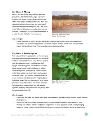 Key Threat 2: Mining
 Mining, although limited geographically within the
 project area, has had and is having a signiﬁcant
 impact on the limited, remaining natural resources
 of the Valley proper. Two types of mining – hard rock
 associated with granite outcrops, and sand/gravel
 associated with alluvium and glacial drift – are found
 in the Valley, and threaten remnant prairies and rock
 outcrops. Quarrying of rock outcrops has emerged as
 a major threat in the Valley in recent years.               Figure 2.6: Sand/Gravel Quarry
                                                             ©Great River Greening
 Key Strategies:
   •   Pursue protection of priority remnant prairies and rock outcrops through conservation easements,
       acquisition, and landowner agreements. Focus RIM program efforts in priority sites; reinvigorate the
       State’s Wild and Scenic River Program and protection that it can afford.



 Key Threat 3: Invasive Species
 Non-native and native species alike can be damaging
 to ecological systems (both freshwater and terrestrial)
 and their associated biota. An array of exotic species
 (e.g., European buckthorn, multiﬂora rose, leafy
 spurge, reed canary grass, smooth brome, Canada
 thistle, zebra mussel, carp) introduced via federal
 and state agencies, nursery trade, ballast dumping
 in the Great Lakes, and illegal import, are having an
 immediate impact and threaten the future of natural
 areas and lakes and streams within the project area.
 In addition, lack of ﬁre and abatement of other natural     Figure 2.7: Buckthorn closeup
 processes have allowed trees and shrubs to invade           ©Great River Greening
 remnant prairies, rock outcrops and oak savanna
 systems, modifying their composition and placing their
 continued existence at risk.


 Key Strategies:
   •   Collaborate with state and federal agencies to eliminate exotic species currently included in their standard
       planting mixes.
   •   Outreach to the local nursery industry to ensure highly invasive cultivars are eliminated from stock.
   •   Develop and enhance effective eradication programs for invasive species at priority sites by bringing
       resources to bear through state and federal programs, non proﬁt organizations, and local stakeholders.



                                                                                                               35
Conservation in the Middle Minnesota Valley: A Blueprint and Action Plan
 