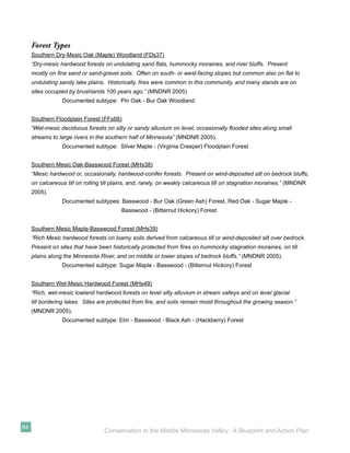 Forest Types
     Southern Dry-Mesic Oak (Maple) Woodland (FDs37)
     “Dry-mesic hardwood forests on undulating sand ﬂats, hummocky moraines, and river bluffs. Present
     mostly on ﬁne sand or sand-gravel soils. Often on south- or west-facing slopes but common also on ﬂat to
     undulating sandy lake plains. Historically, ﬁres were common in this community, and many stands are on
     sites occupied by brushlands 100 years ago.” (MNDNR 2005)
                 Documented subtype: Pin Oak - Bur Oak Woodland


     Southern Floodplain Forest (FFs68)
     “Wet-mesic deciduous forests on silty or sandy alluvium on level, occasionally ﬂooded sites along small
     streams to large rivers in the southern half of Minnesota” (MNDNR 2005).
                 Documented subtype: Silver Maple - (Virginia Creeper) Floodplain Forest


     Southern Mesic Oak-Basswood Forest (MHs38)
     “Mesic hardwood or, occasionally, hardwood-conifer forests. Present on wind-deposited silt on bedrock bluffs,
     on calcareous till on rolling till plains, and, rarely, on weakly calcareous till on stagnation moraines.” (MNDNR
     2005).
                 Documented subtypes: Basswood - Bur Oak (Green Ash) Forest, Red Oak - Sugar Maple -
                                          Basswood - (Bitternut Hickory) Forest


     Southern Mesic Maple-Basswood Forest (MHs39)
     “Rich Mesic hardwood forests on loamy soils derived from calcareous till or wind-deposited silt over bedrock.
     Present on sites that have been historically protected from ﬁres on hummocky stagnation moraines, on till
     plains along the Minnesota River, and on middle or lower slopes of bedrock bluffs.” (MNDNR 2005).
                 Documented subtype: Sugar Maple - Basswood - (Bitternut Hickory) Forest


     Southern Wet-Mesic Hardwood Forest (MHs49)
     “Rich, wet-mesic lowland hardwood forests on level silty alluvium in stream valleys and on level glacial
     till bordering lakes. Sites are protected from ﬁre, and soils remain moist throughout the growing season.”
     (MNDNR 2005).
                 Documented subtype: Elm - Basswood - Black Ash - (Hackberry) Forest




84
                                   Conservation in the Middle Minnesota Valley: A Blueprint and Action Plan
 