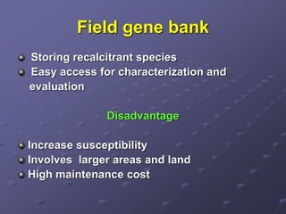 Field gene bank
Storing recalcitrant species
Easy access for characterization and
evaluation
Disadvantage
Increase susceptibility
Involves larger areas and land
High maintenance cost
 