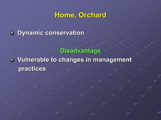 Home, Orchard
Dynamic conservation
Disadvantage
Vulnerable to changes in management
practices
 
