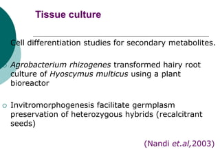 Tissue culture
 Cell differentiation studies for secondary metabolites.
 Agrobacterium rhizogenes transformed hairy root
culture of Hyoscymus multicus using a plant
bioreactor
 Invitromorphogenesis facilitate germplasm
preservation of heterozygous hybrids (recalcitrant
seeds)
(Nandi et.al,2003)
 