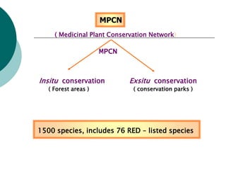 MPCN
1500 species, includes 76 RED – listed species
MPCN
( Medicinal Plant Conservation Network)
Insitu conservation Exsitu conservation
( Forest areas ) ( conservation parks )
 