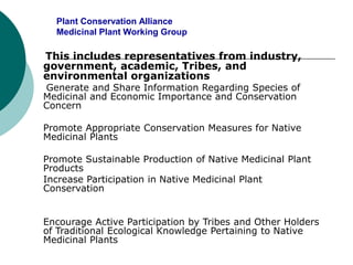 Plant Conservation Alliance
Medicinal Plant Working Group
This includes representatives from industry,
government, academic, Tribes, and
environmental organizations
Generate and Share Information Regarding Species of
Medicinal and Economic Importance and Conservation
Concern
Promote Appropriate Conservation Measures for Native
Medicinal Plants
Promote Sustainable Production of Native Medicinal Plant
Products
Increase Participation in Native Medicinal Plant
Conservation
Encourage Active Participation by Tribes and Other Holders
of Traditional Ecological Knowledge Pertaining to Native
Medicinal Plants
 