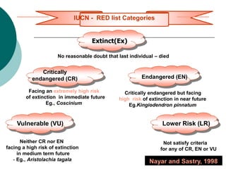 IUCN - RED list Categories
Extinct(Ex)
No reasonable doubt that last individual – died
Critically
endangered (CR)
Facing an extremely high risk
of extinction in immediate future
Eg., Coscinium
Endangered (EN)
Critically endangered but facing
high risk of extinction in near future
Eg.Kingiodendron pinnatum
Vulnerable (VU) Lower Risk (LR)
Neither CR nor EN
facing a high risk of extinction
in medium term future
- Eg., Aristolachia tagala
Not satisfy criteria
for any of CR, EN or VU
Nayar and Sastry, 1998
 