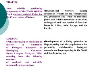 TRAFFIC
Joint wildlife monitoring
programme of the World Wildlife
Fund and International Union for
the Conservation of Nature.
International Network issuing
authorities reports on the conservation,
use, protection and trade of medicinal
plants and wildlife resources (inclusive of
endangered and rare species of flora and
fauna in Africa, Asia, Europe and the
Pacific.
UNESCO
Policy discussion on Protection of
Interest in Utilization
of Biological Resources of
Developing Countries,
Kuala Lumpur, Malaysia, 1996,
resulting from the following
concerns:
of academic and scientific
sustainable infrastructures
Development of a Policy guideline on
bioprospecting and the requirements for
permitting collaborative biological
research and bioprospecting in the South
and Southeast region
 