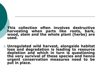  This collection often involves destructive
harvesting when parts like roots, bark,
wood, stem and the whole plant (herbs) are
used.
 Unregulated wild harvest, alongside habitat
loss and degradation is leading to resource
depletion and which in turn is questioning
the very survival of these species and hence
urgent conservation measures need to be
put in place.
 