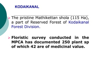 KODAIKANAL
 The pristine Mathikettan shola (115 Ha),
a part of Reserved Forest of Kodaikanal
Forest Division.
 Floristic survey conducted in the
MPCA has documented 250 plant sp
of which 42 are of medicinal value.
 