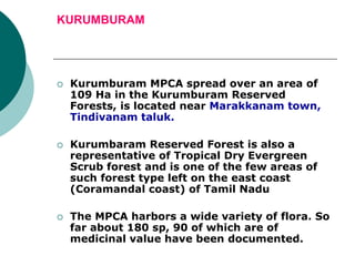 KURUMBURAM
 Kurumburam MPCA spread over an area of
109 Ha in the Kurumburam Reserved
Forests, is located near Marakkanam town,
Tindivanam taluk.
 Kurumbaram Reserved Forest is also a
representative of Tropical Dry Evergreen
Scrub forest and is one of the few areas of
such forest type left on the east coast
(Coramandal coast) of Tamil Nadu
 The MPCA harbors a wide variety of flora. So
far about 180 sp, 90 of which are of
medicinal value have been documented.
 