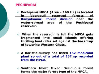 PECHIPARAI
 Pechiparai MPCA (Area - 160 Ha) is located
in Veerapuli reserved forests of
Kanyakumari forest division near the
water-spread area of the Pechiparai
reservoir.
 When the reservoir is full the MPCA gets
fragmented into small islands offering
thrilling boat rides set against the backdrop
of towering Western Ghats.
 A floristic survey has listed 152 medicinal
plant sp out of a total of 257 sp recorded
from the MPCA.
 Southern Moist Mixed Deciduous forest
forms the major forest type of the MPCA.
 
