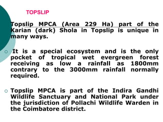 TOPSLIP
 Topslip MPCA (Area 229 Ha) part of the
Karian (dark) Shola in Topslip is unique in
many ways.
 It is a special ecosystem and is the only
pocket of tropical wet evergreen forest
receiving as low a rainfall as 1800mm
contrary to the 3000mm rainfall normally
required.
 Topslip MPCA is part of the Indira Gandhi
Wildlife Sanctuary and National Park under
the jurisdiction of Pollachi Wildlife Warden in
the Coimbatore district.
 